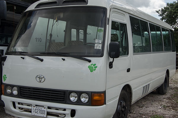 Toyota Coaster