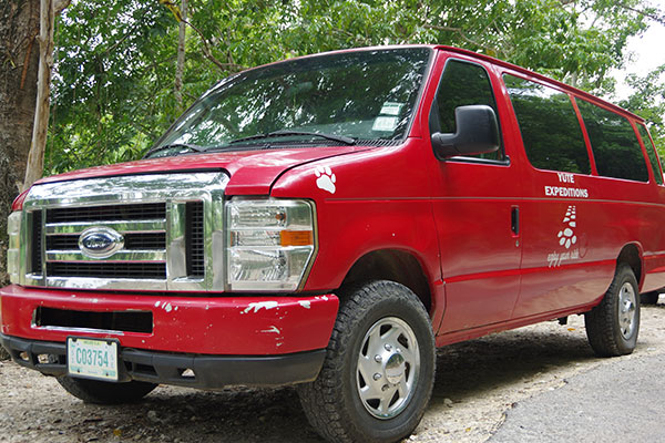 Ford Van